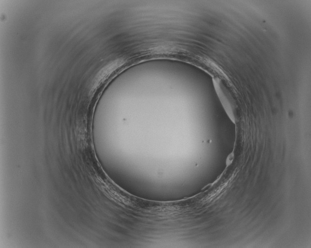 X0000073900930200609011714