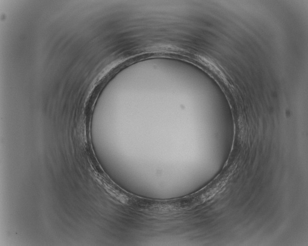 X0000073900931200609011715