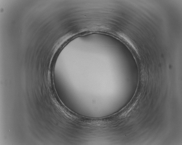 X0000073900932200609011715