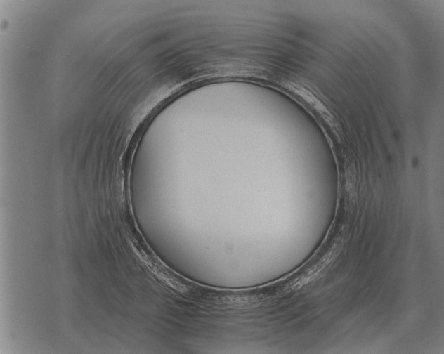 X0000073900933200609011715