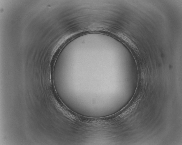 X0000073900934200609011715