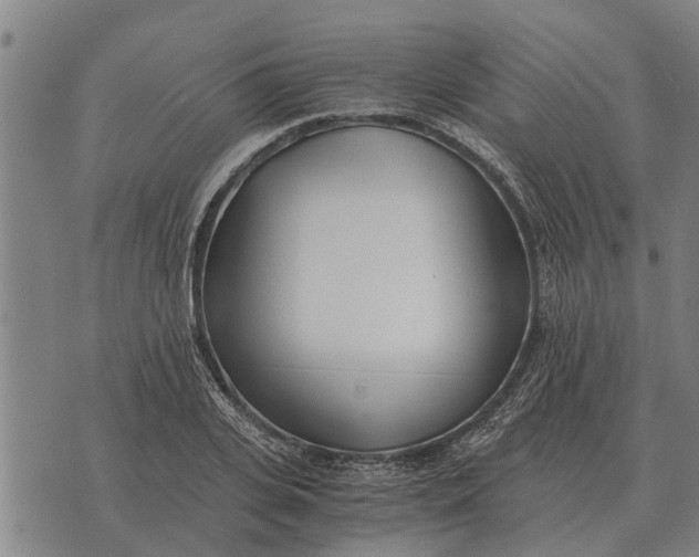 X0000073900935200609011715