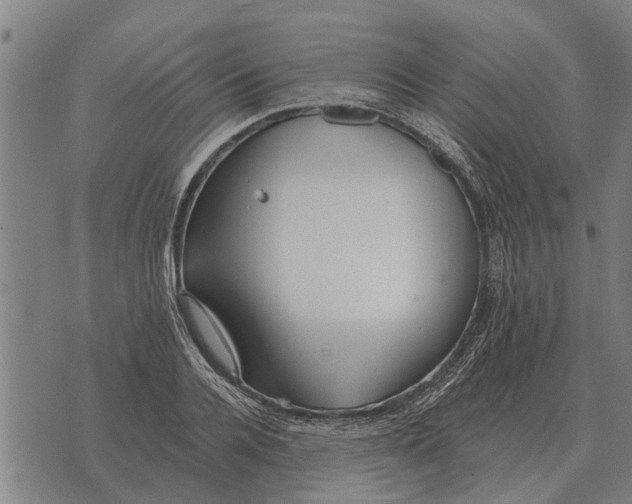 X0000073900936200609011715