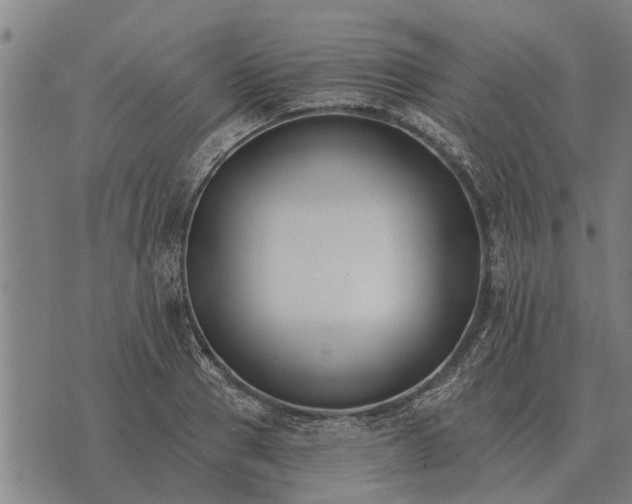 X0000073900937200609011715