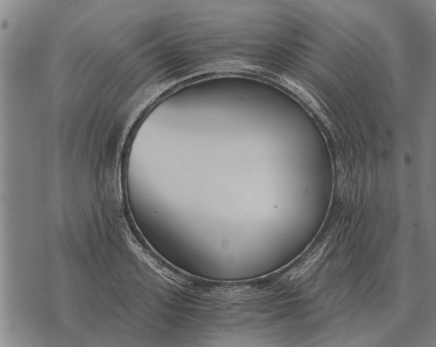 X0000073900939200609011715