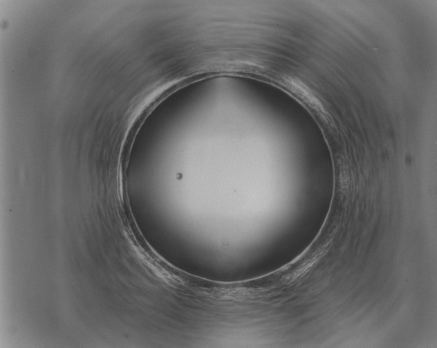 X0000073900940200609011715