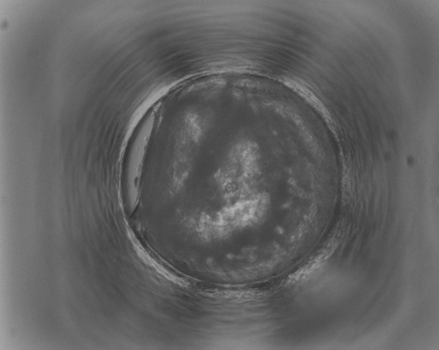 X0000073900941200609011715