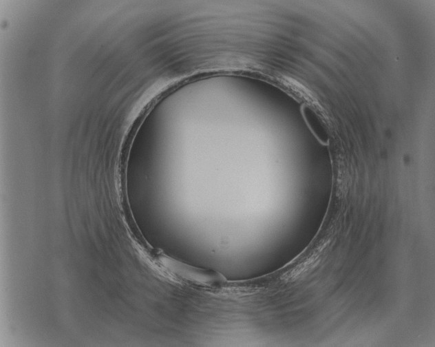 X0000073900942200609011715