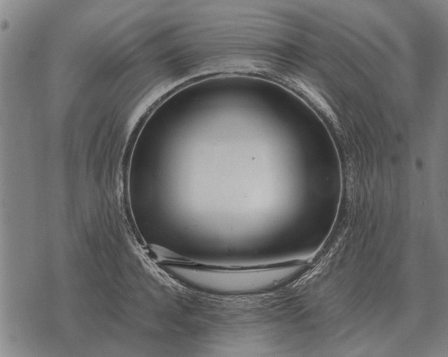 X0000073900944200609011715