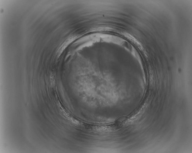 X0000073900945200609011715