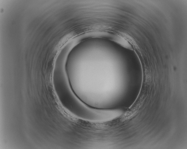 X0000073900946200609011715