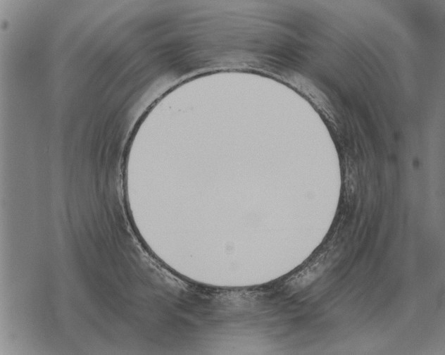 X0000073900950200609011715