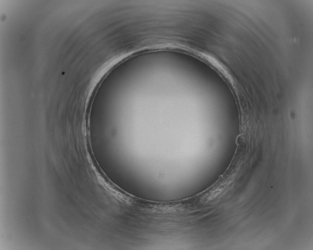 X0000073900951200609011715