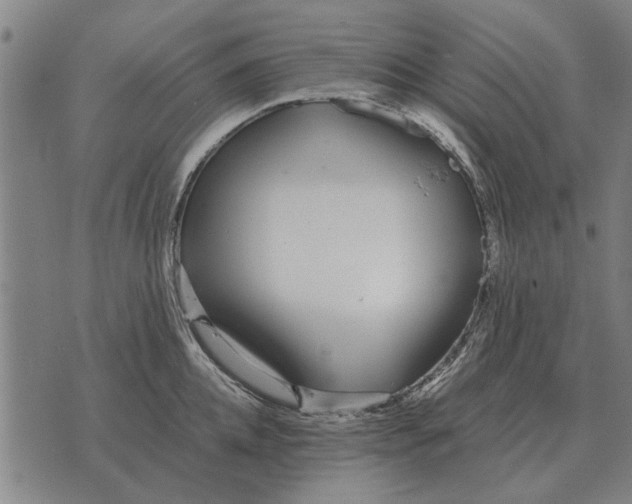 X0000073900952200609011715