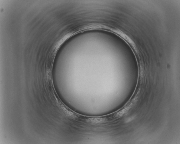 X0000073900953200609011715