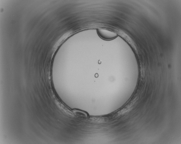 X0000073900954200609011715