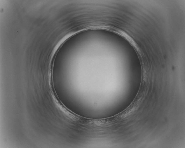 X0000073900955200609011715