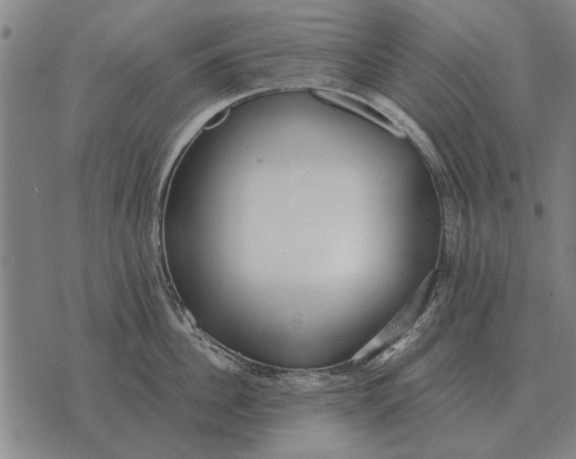 X0000073900956200609011715