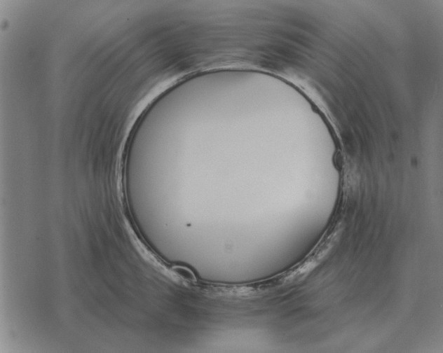 X0000073900957200609011715