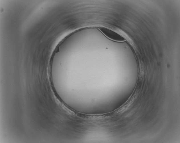 X0000073900958200609011715