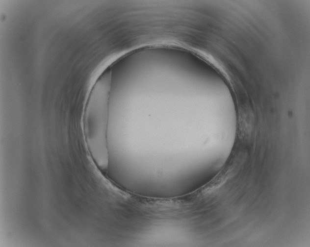 X0000073900959200609011715