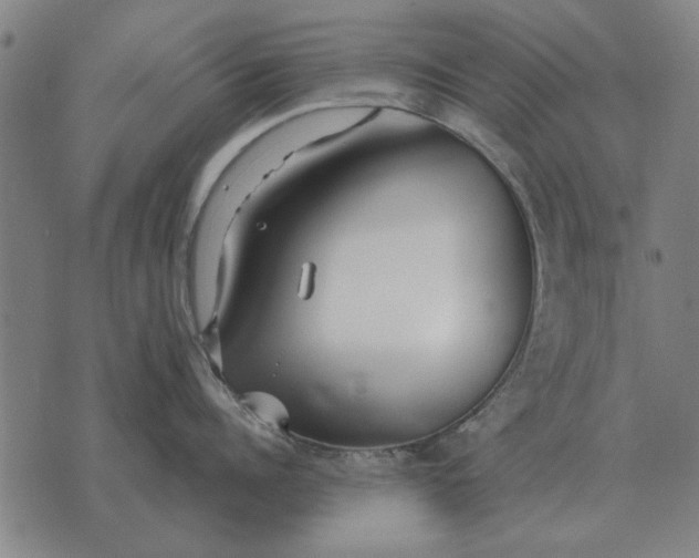 X0000073900960200609011715