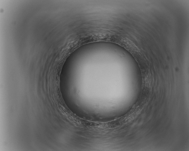 X0000073900961200609011714