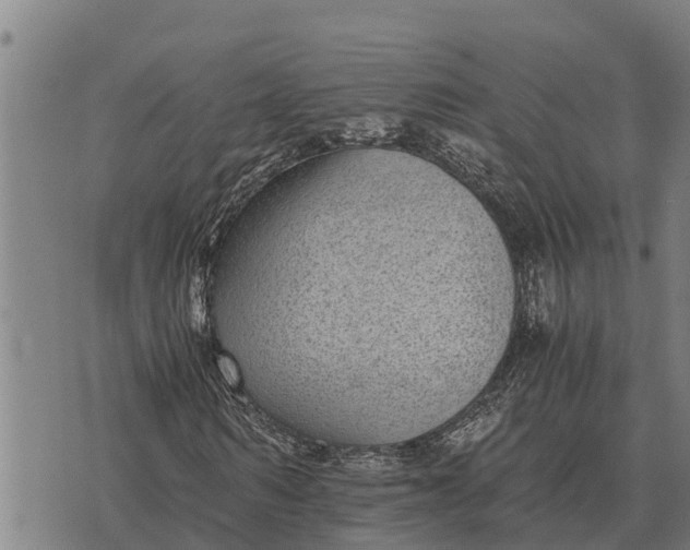 X0000073900962200609011714