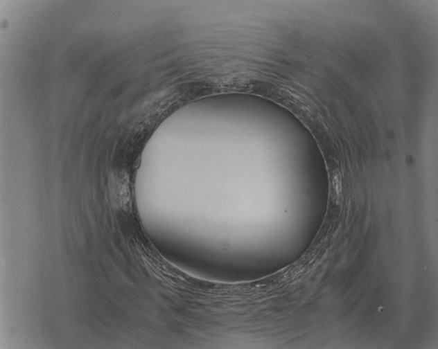 X0000073900963200609011714