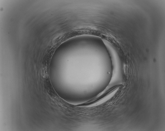 X0000073900965200609011714