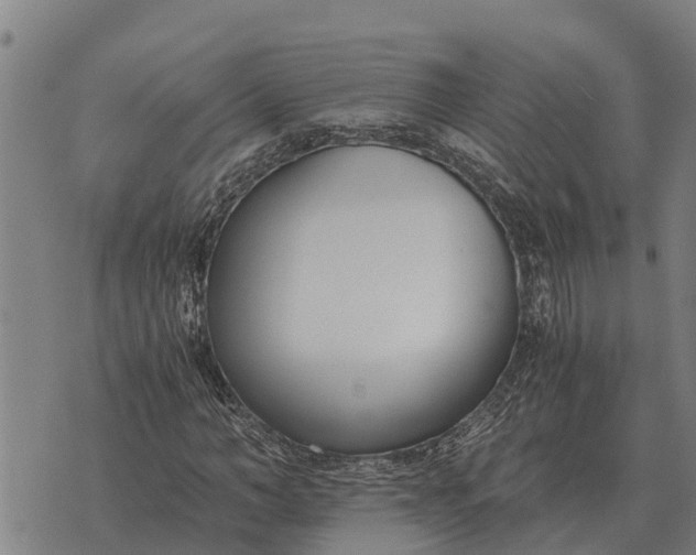 X0000073900966200609011714