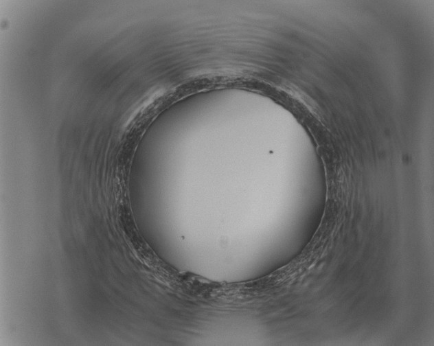 X0000073900967200609011714