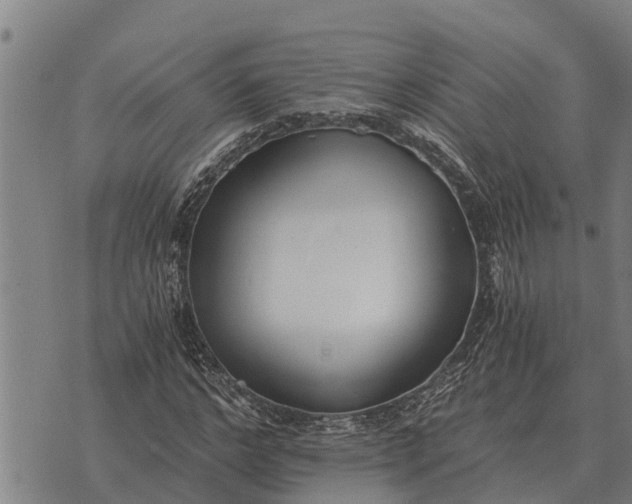 X0000073900968200609011714