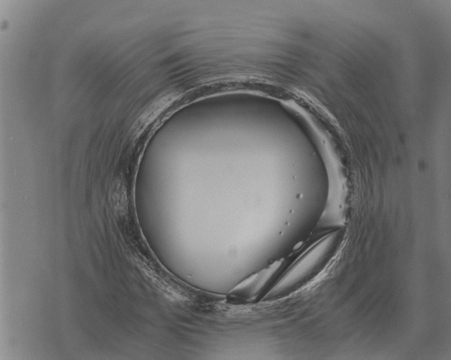 X0000073900969200609011714