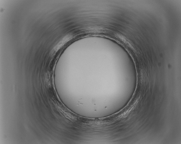 X0000073900970200609011714