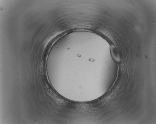 X0000073900971200609011714