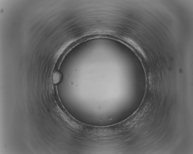 X0000073900972200609011714