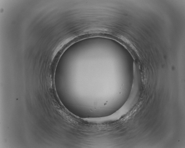 X0000073900973200609011714