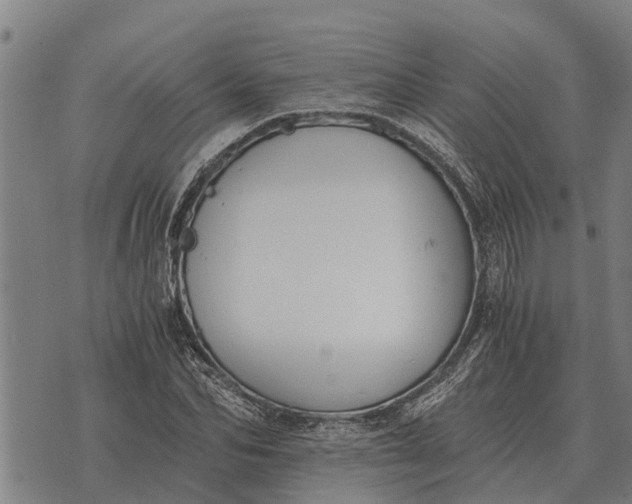 X0000073900974200609011714