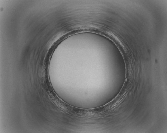 X0000073900975200609011714