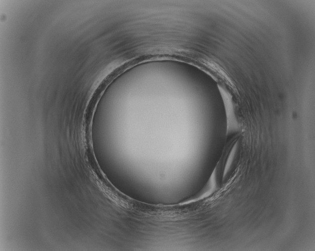 X0000073900976200609011714