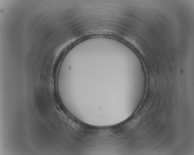 X0000073900979200609011714