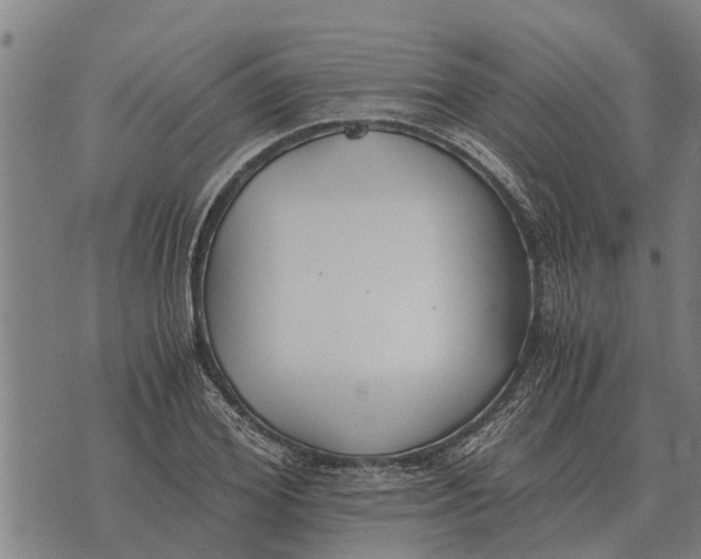 X0000073900980200609011714