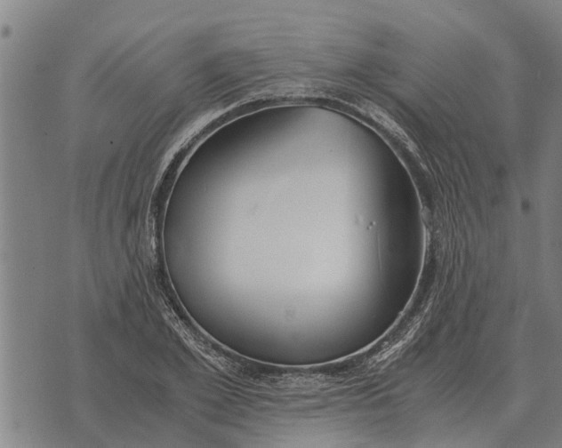 X0000073900981200609011714