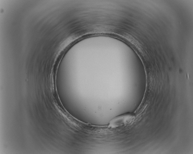 X0000073900982200609011714