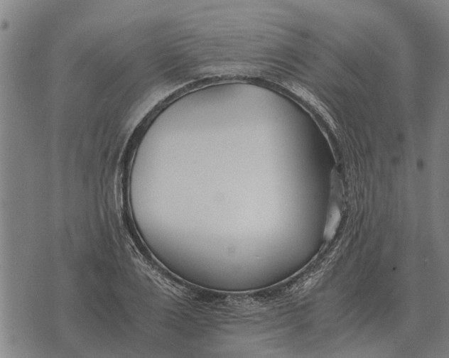 X0000073900983200609011714