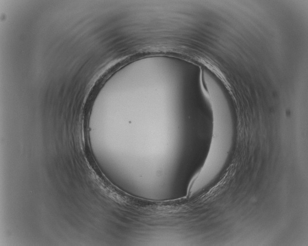 X0000073900984200609011714