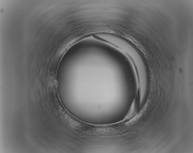 X0000073900985200609011714