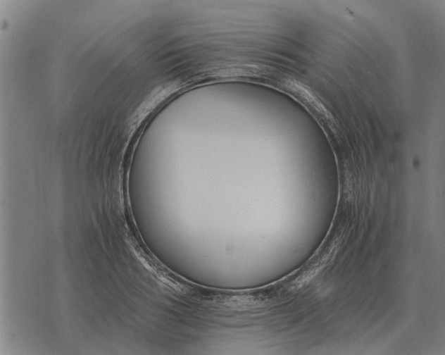 X0000073900986200609011714