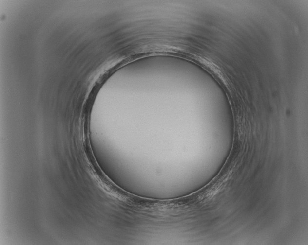 X0000073900987200609011714